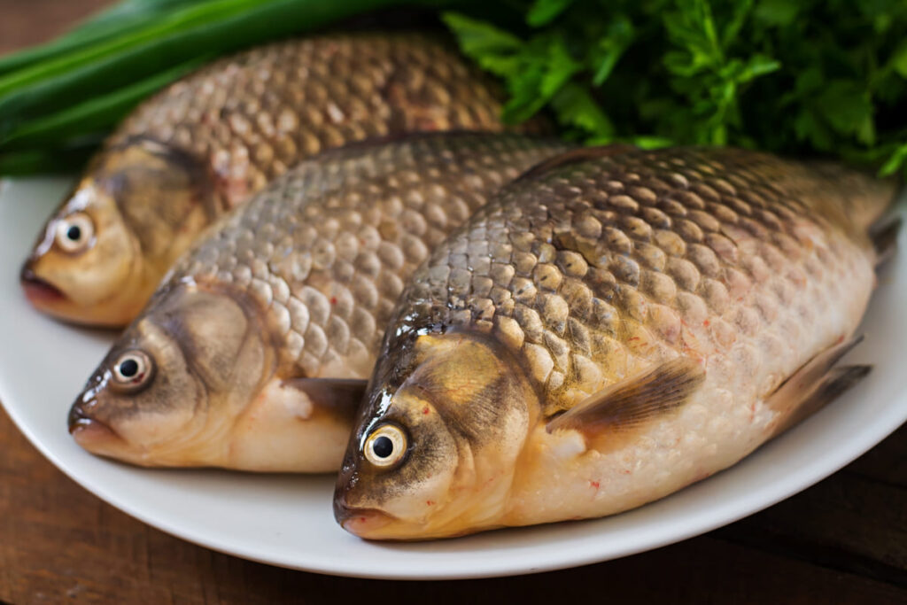 Вкусовые качества карася