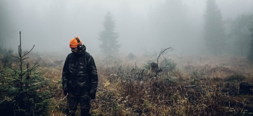 Поиски в дебрях